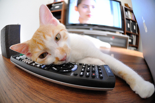 赛道之外，聚光灯下，弗拉霍维奇如何成为F1年度争冠之夜的意外焦点